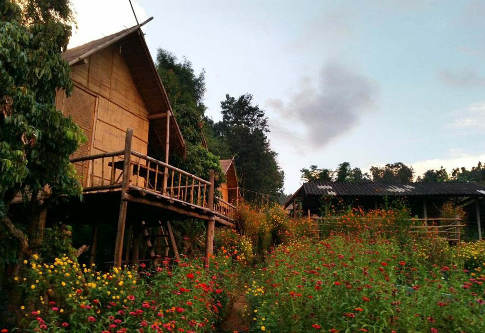 Baan Aingdoi Homestay, Chiang Dao Exterior foto