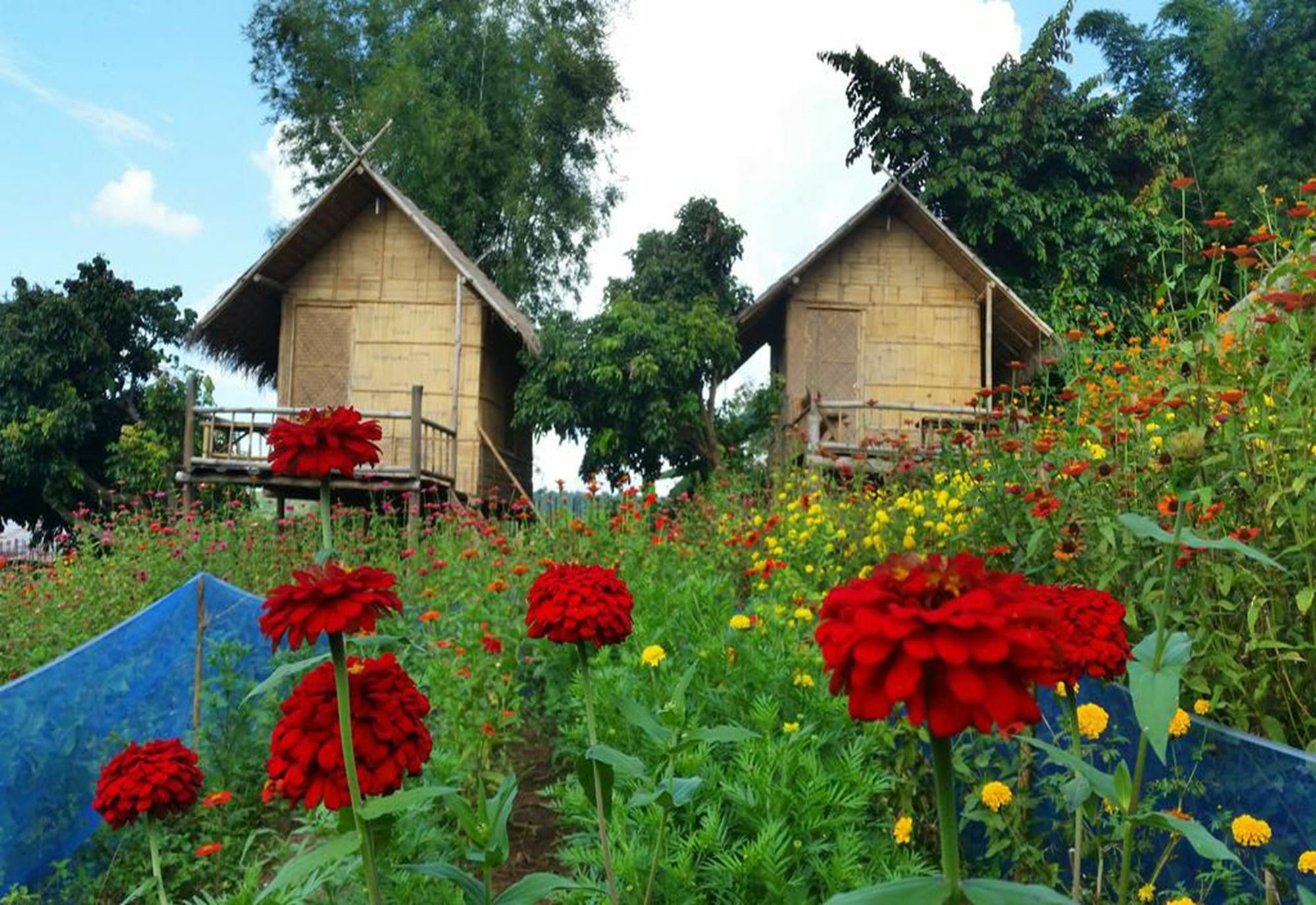 Baan Aingdoi Homestay, Chiang Dao Exterior foto