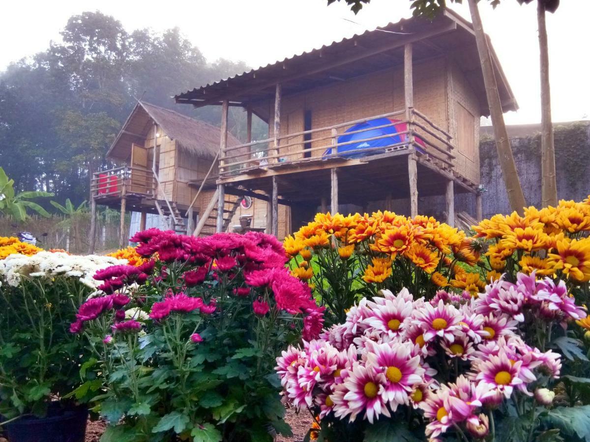Baan Aingdoi Homestay, Chiang Dao Exterior foto